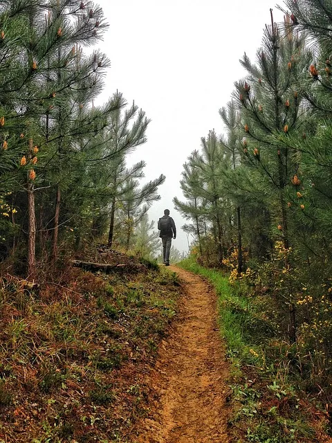 The man who redirected his grit toward the right mountain carrying all his