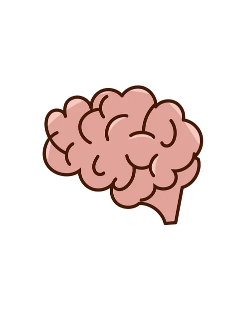 The prefrontal cortex staying online during sympathetic nervous system