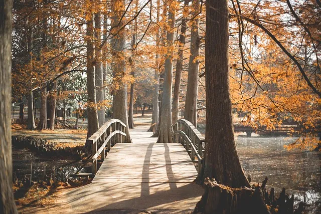 Frugality Is Fear, Minimalism Is Power: Know