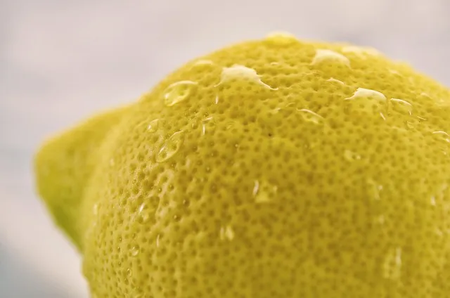 The Mold-Proof Home Protocol: Four Domains, One System