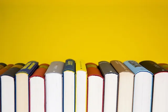 7 Actionable Takeaways From the War of Art Summary