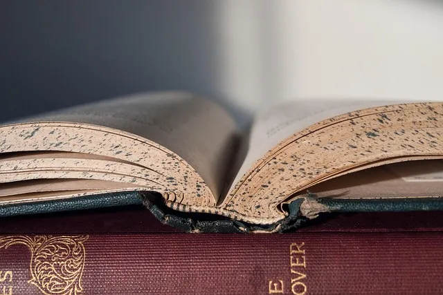 The Command Accountability Stack: A Working Framework