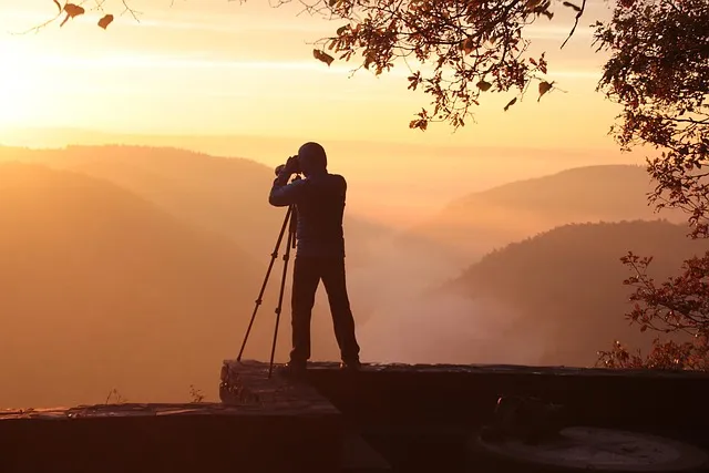 Tribe by Sebastian Junger Summary: Key