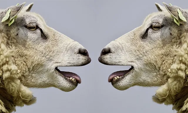 The Numbers Behind the Deception