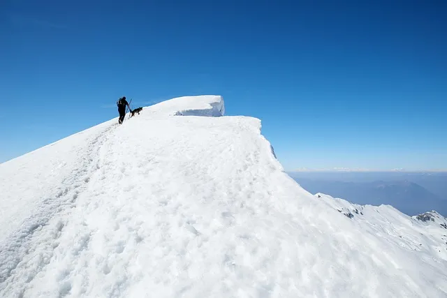 The 200-Hour Rule: The Science of Building