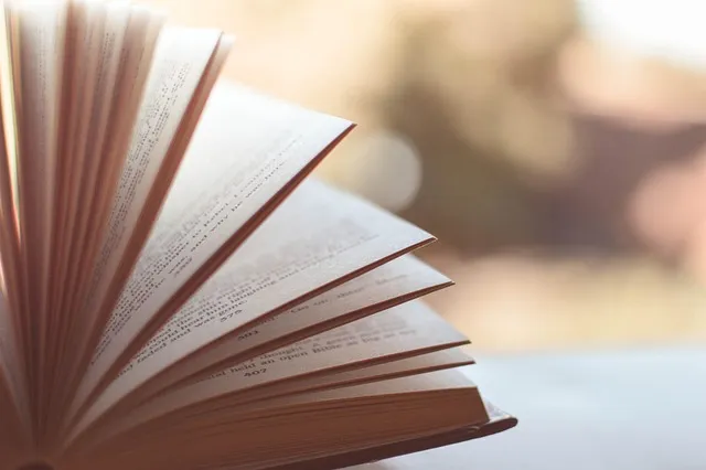 Case Study: The Executive Who Read Too Many Business Books