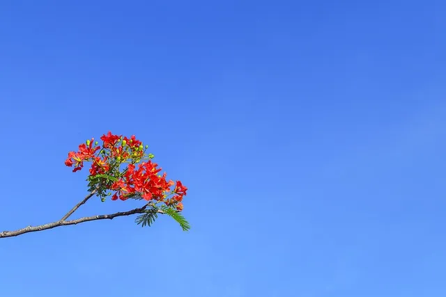 How to Find a Mentor When Nobody Is Volunteering