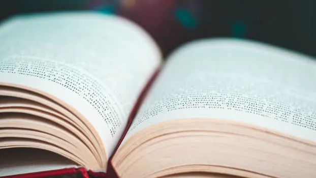 Flow: The Psychology of Optimal Experience Summary