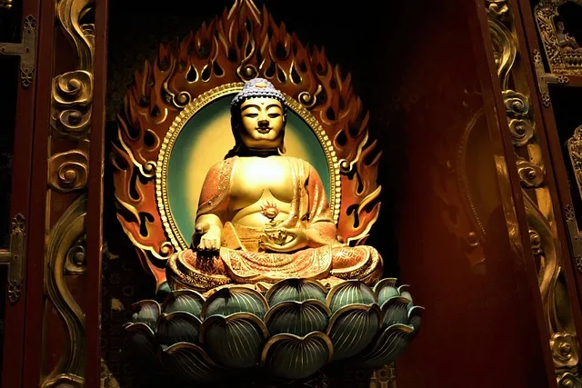 The Meditations as a Philosophical Practice