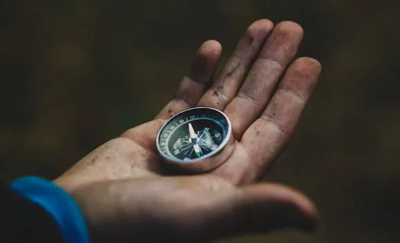 Your Money or Your Life Summary