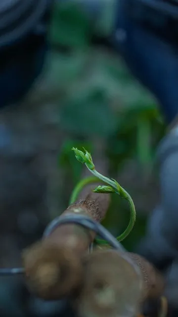 Made to Stick Summary
