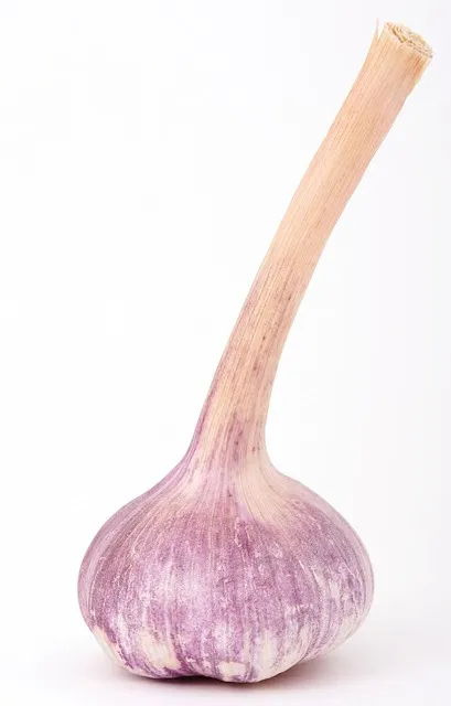 Multipliers Summary