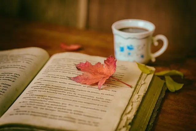 The Little Book That Beats the Market Summary