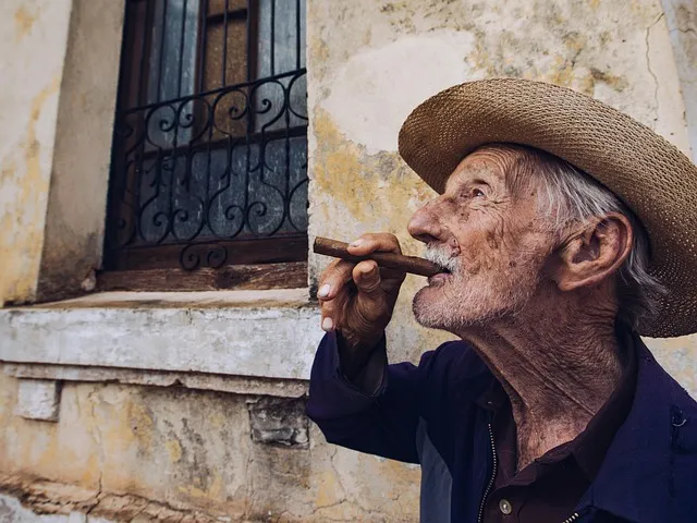 Akkermansia: The Longevity Bacterium — The Longevity Paradox Summary