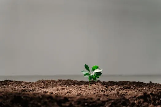 Learned Optimism Summary