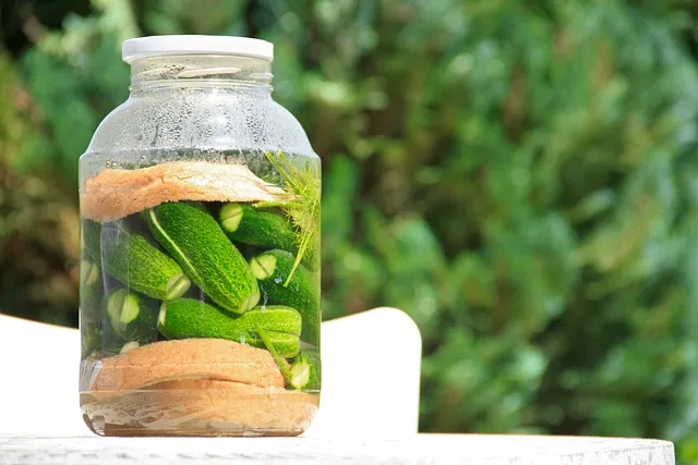 The 90-Day Gut Reset Protocol: Phase 2