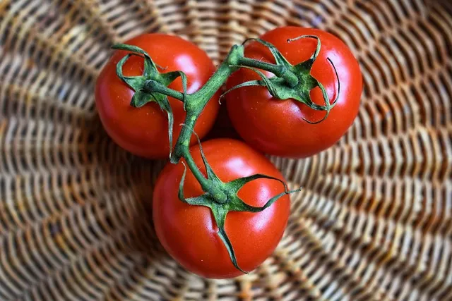 Diagnosing Histamine Intolerance: The Practical Approach