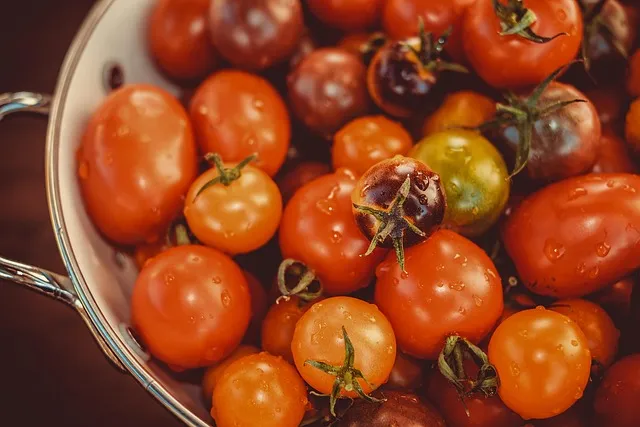 Healing the Gluten-Damaged Gut: The Repair Protocol
