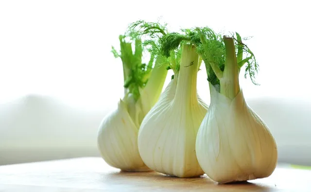 Common Mistakes That Sabotage Gut Repair