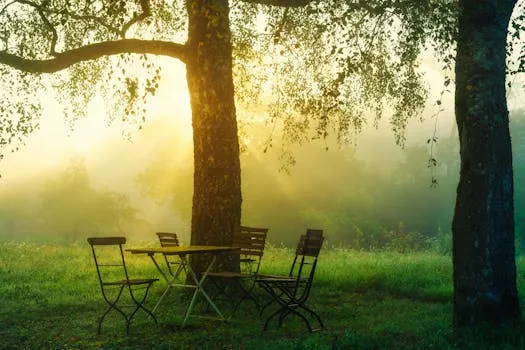 Tissue Healing Timelines: What Is Actually