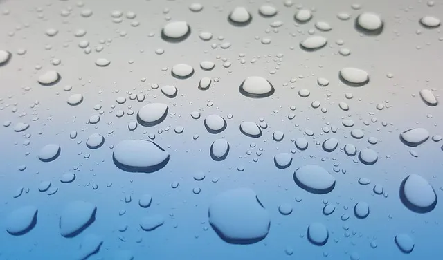 Understanding Your Water Report: Reading the Consumer Confidence Report