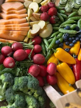 Dietary BDNF Support: The Nutritional Architecture