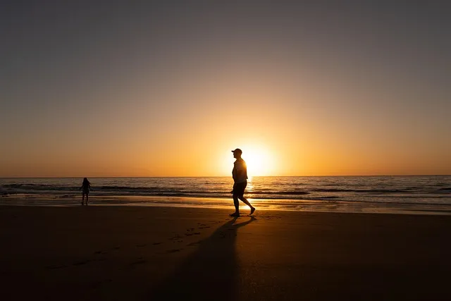 The Omega-3 Mood Protocol: A Systematic Framework