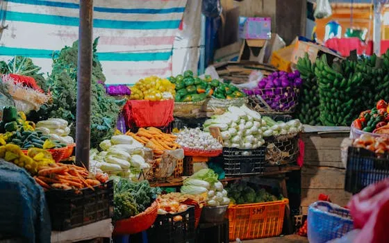 Nutrition and Vitreous Health: Prevention and Maintenance