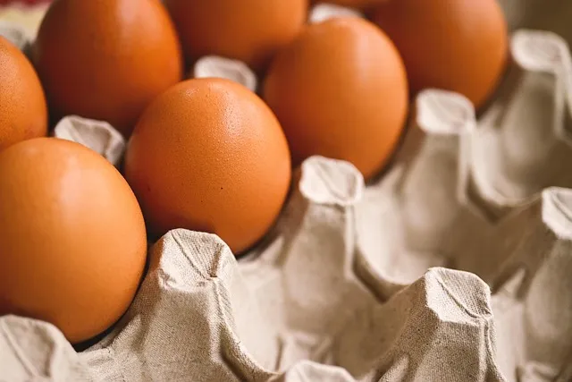 Protein Quality: Not All Sources Are Equal