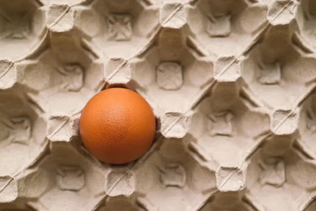 Practical Protein Sources: Building Your Daily Intake
