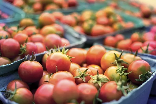 Ultra-Processed Food: Why It's Destroying Health