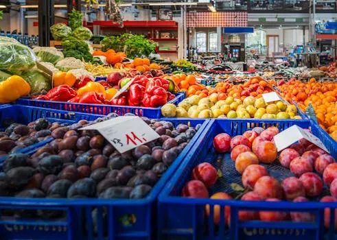 Nutrition for VO2 Max Development