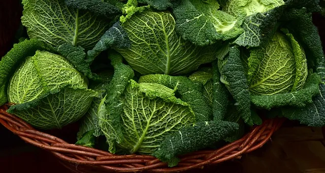 Fiber and Gut Health: Types and Amounts