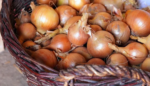 Ancestral Health: What Evolution Tells Us