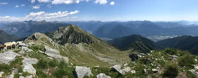 Health Post 619