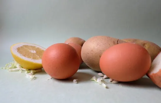 Protein Quality and Bioavailability