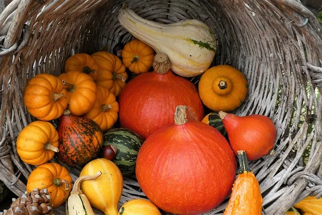 Health Post 626