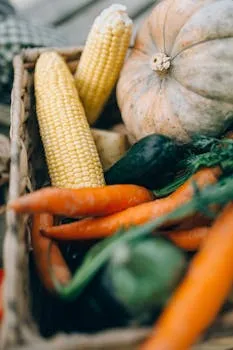 Health Post 635