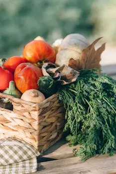Health Post 637