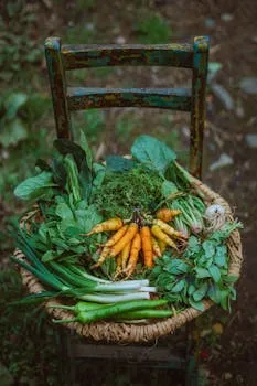 Health Post 642