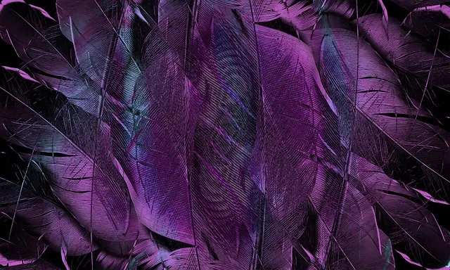 feather, pattern, texture, form, structure, art, decoration, decorative,
