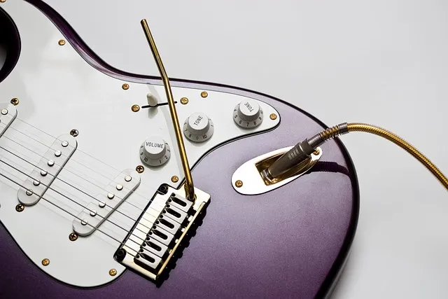 electric guitar, other, instrument, fender, electric guitar, electric