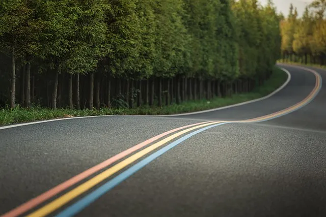road, winding road, forest, nature, countryside, country road, road, road,
