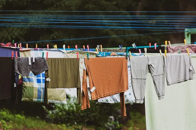 laundry, clothes line, clothing, washed, dry, hang, clothespins, household,