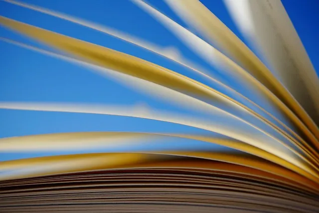a book, pages, scroll, paper, knowledge, read, training, novel, literature,