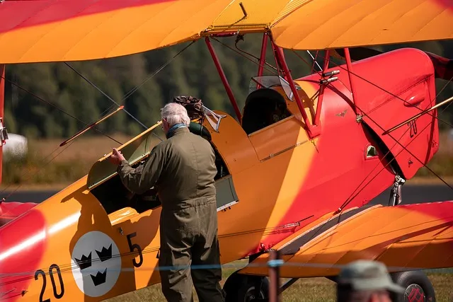 mechanic, aircraft, propeller, three crowns, wings, landing gear, flight