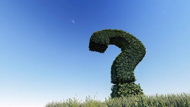 question mark, knowledge, question, sign, symbol, mark, ask, help, problem,