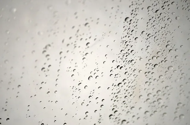 water, raindrops, bathroom, bathtub, nature, moisture, window, bath courtain