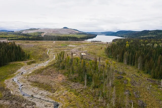 mount polley, hazeltine creek, environmental remediation, aerial shot, fish