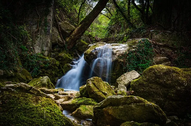 photo, waterfall, forest, rocks, moss, light, rays, exposure, nature,